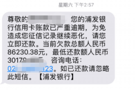 防城港债务清欠服务